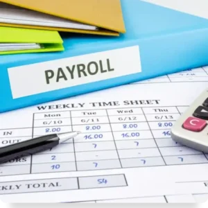 e-payroll