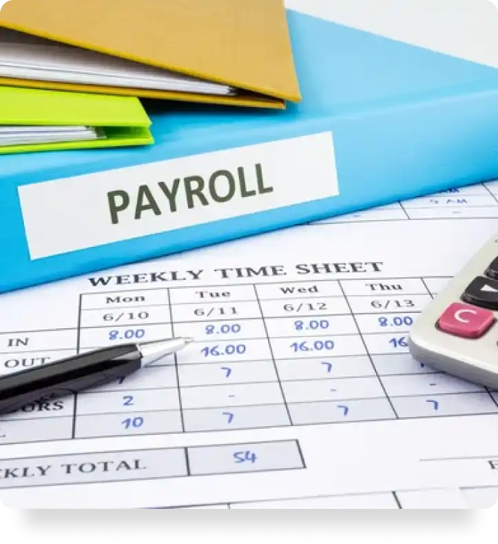 e-payroll